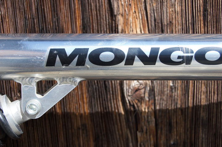 Mongoose with AMP-Fork